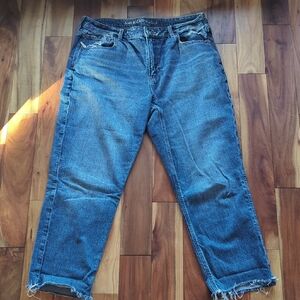 American Eagle Outfitters High Rise Blue Jeans